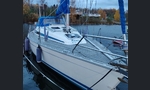 Bavaria 320-kuva-15